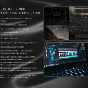 100M+Digital Products Mega Bundle with PLR & MRR